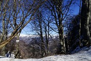 Anello Monte Zucco – Pizzo Cerro da S. Antonio Abbandonato l’11 febbraio 2016 - FOTOGALLERY